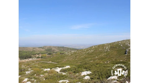 Terreno para Venda em Pragança