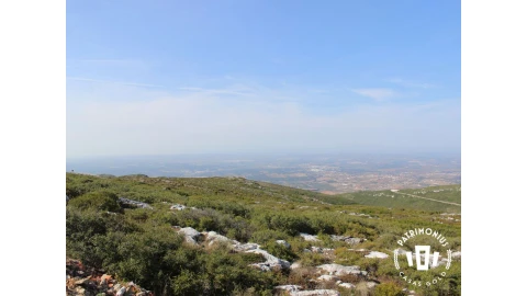 Terreno para Venda em Pragança