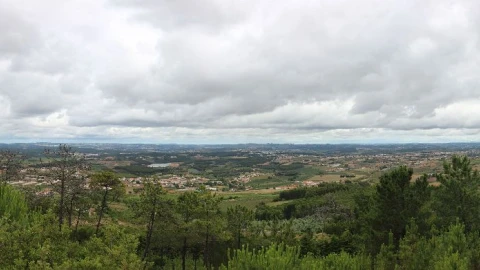 Terreno para Venda em Pragança