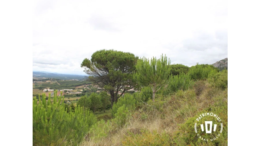 Terreno para Venda em Pragança Foto 4