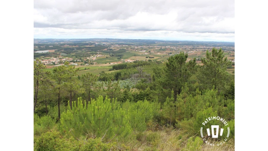 Terreno para Venda em Pragança Foto 6