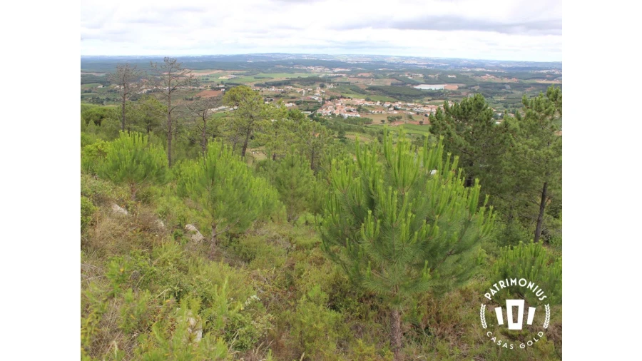 Terreno para Venda em Pragança Foto 9