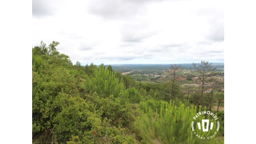 Terreno para Venda em Pragança Foto 10