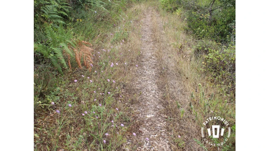 Terreno para Venda em Pragança Foto 19