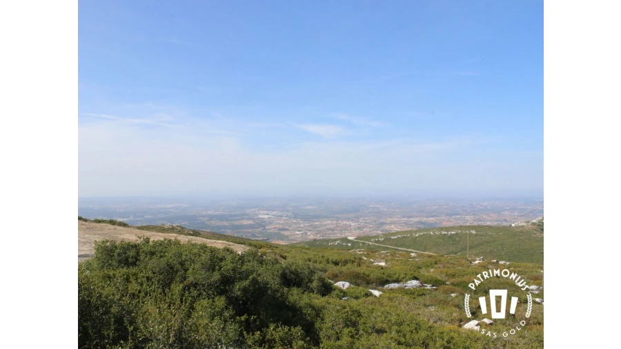 Terreno para Venda em Pragança Foto 26
