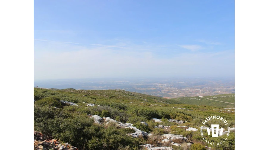 Terreno para Venda em Pragança Foto 28