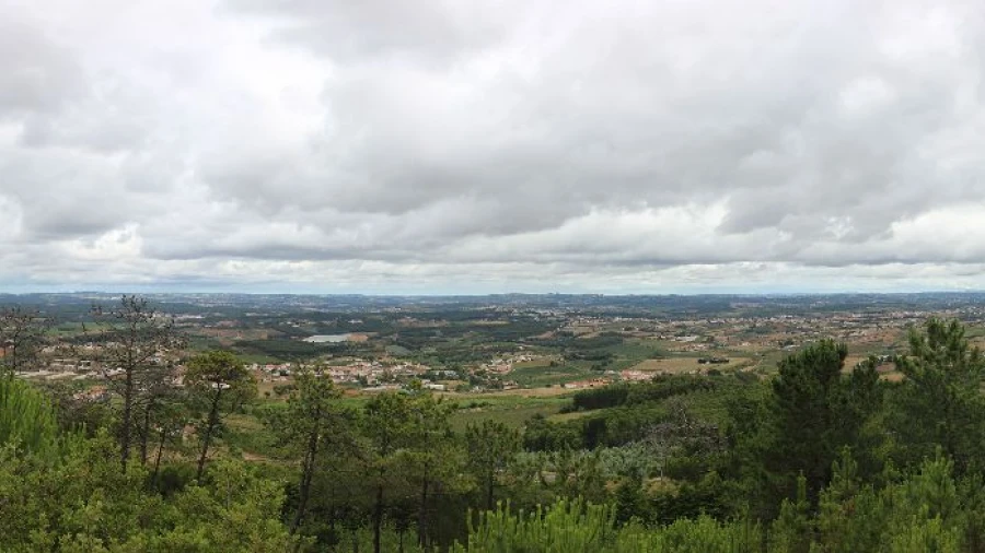 Terreno para Venda em Pragança Foto 32