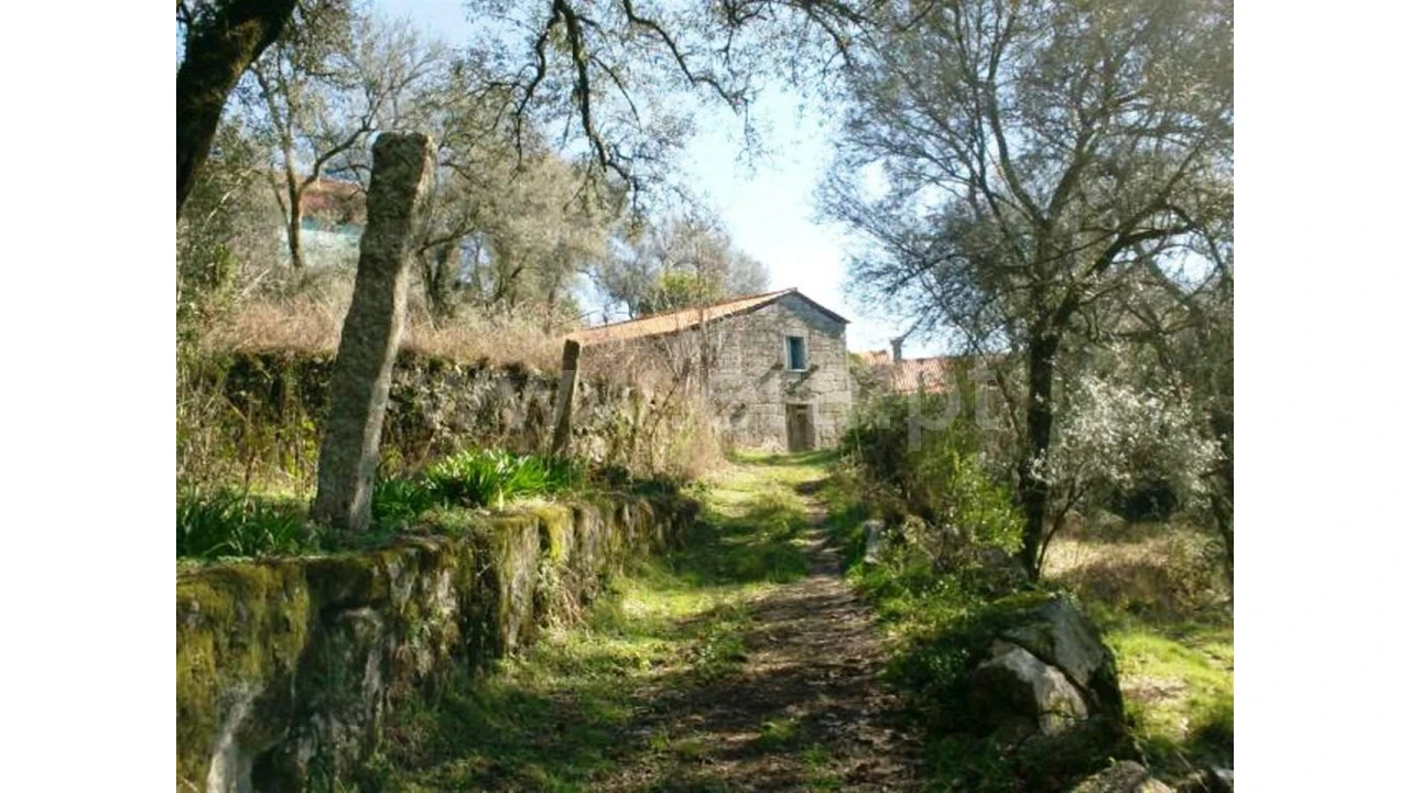 Quinta para Venda em Serzedelo Foto 2