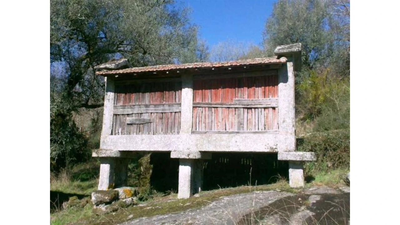 Quinta para Venda em Serzedelo Foto 15