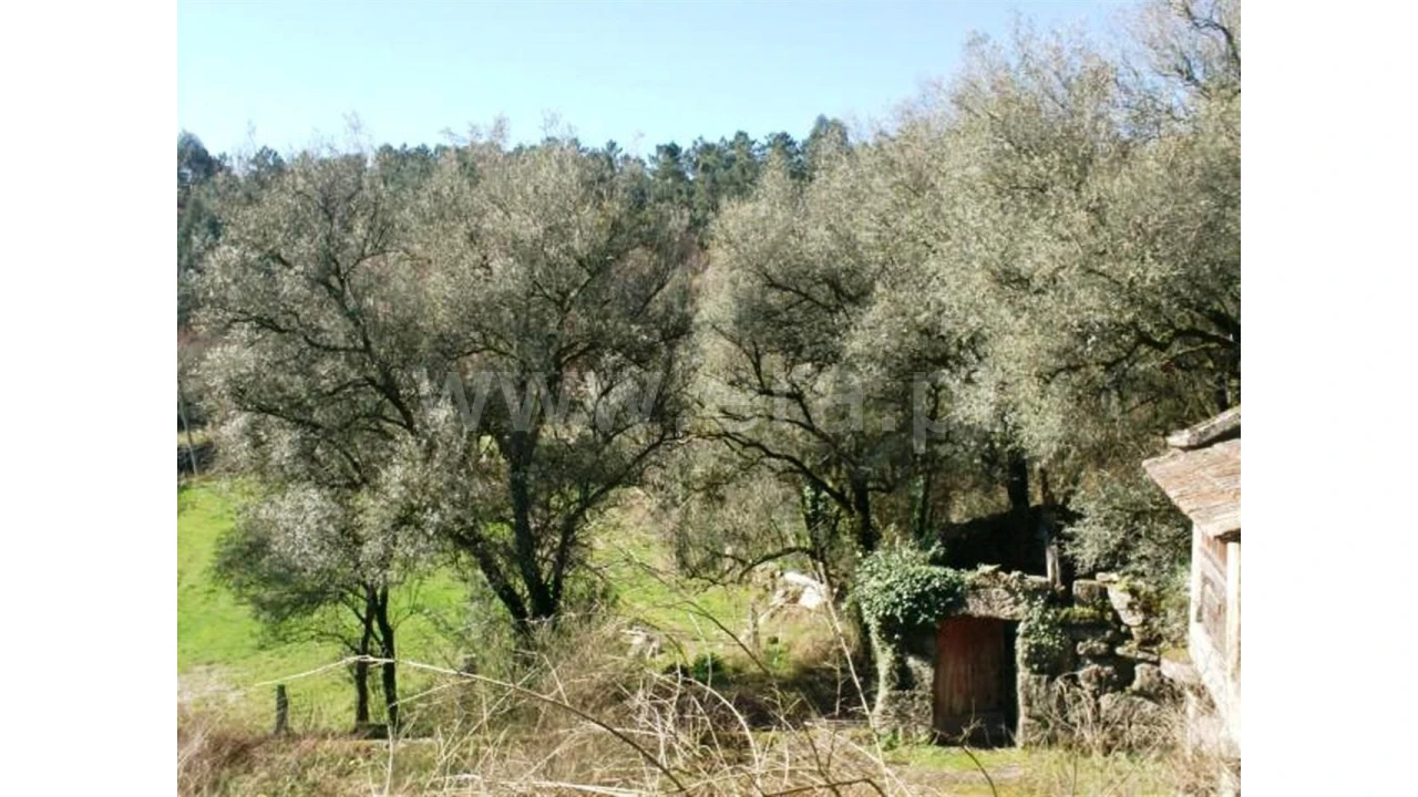Quinta para Venda em Serzedelo Foto 16