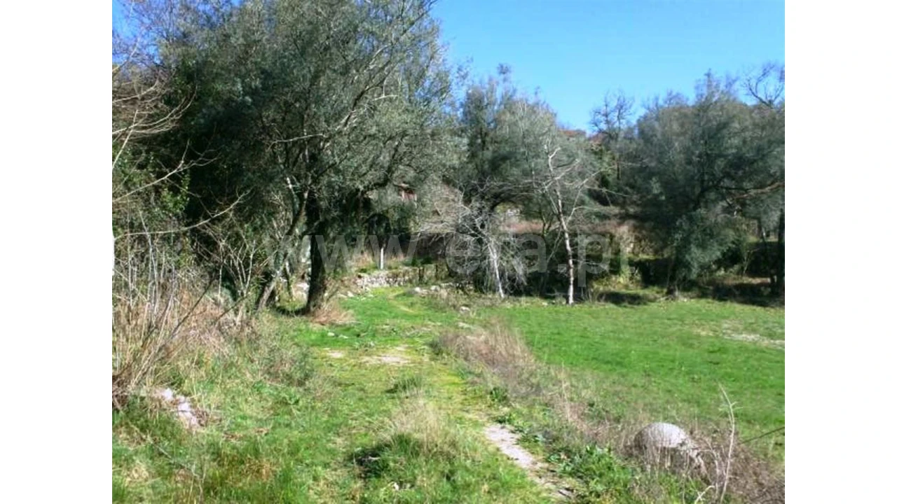 Quinta para Venda em Serzedelo Foto 18