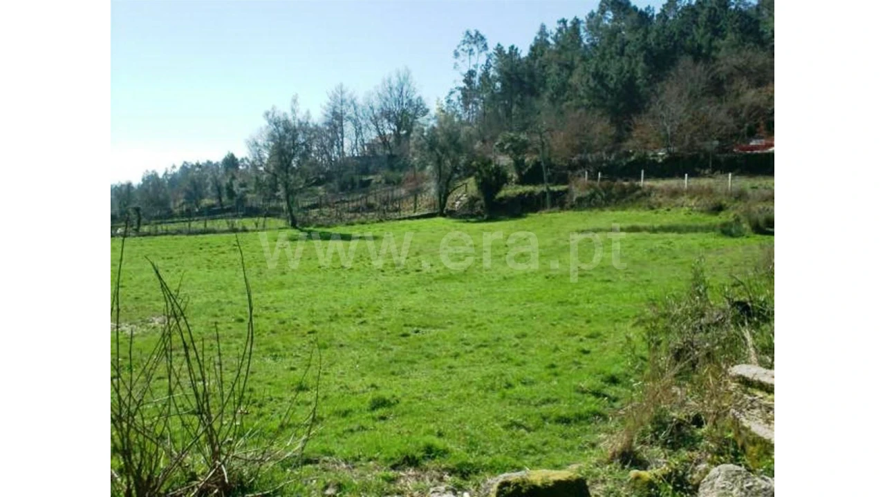 Quinta para Venda em Serzedelo Foto 20