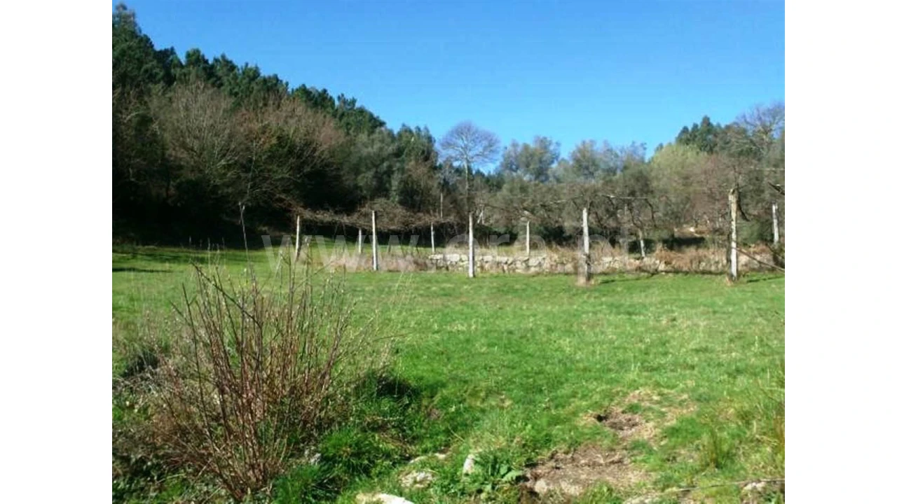 Quinta para Venda em Serzedelo Foto 22