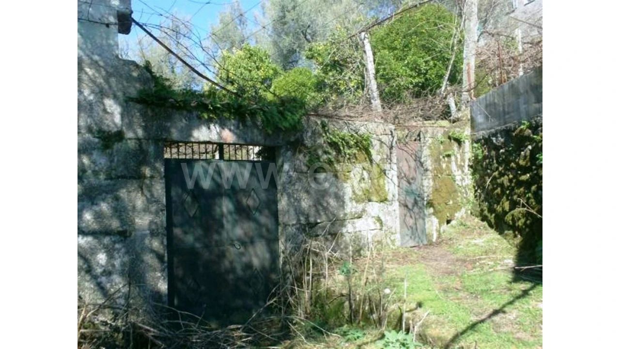 Quinta para Venda em Serzedelo Foto 23