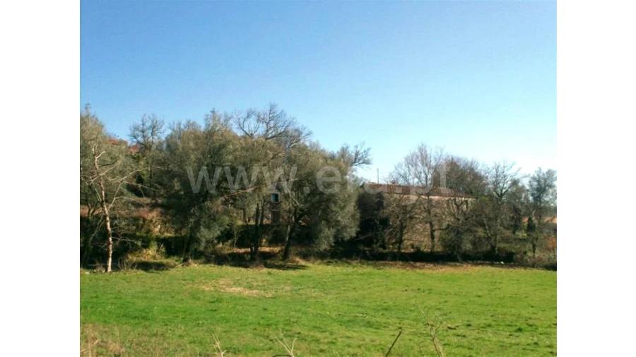 Quinta para Venda em Serzedelo Foto 1