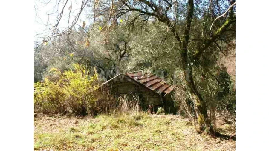 Quinta para Venda em Serzedelo Foto 9