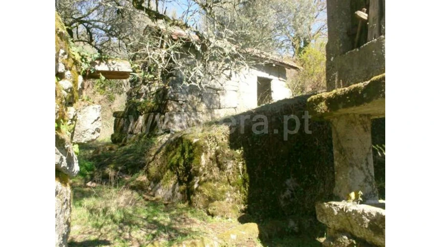 Quinta para Venda em Serzedelo Foto 10