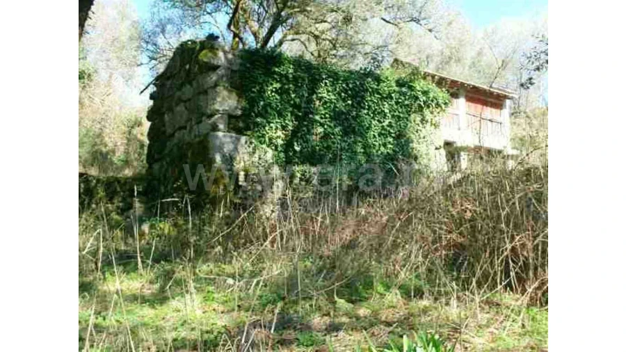 Quinta para Venda em Serzedelo Foto 8