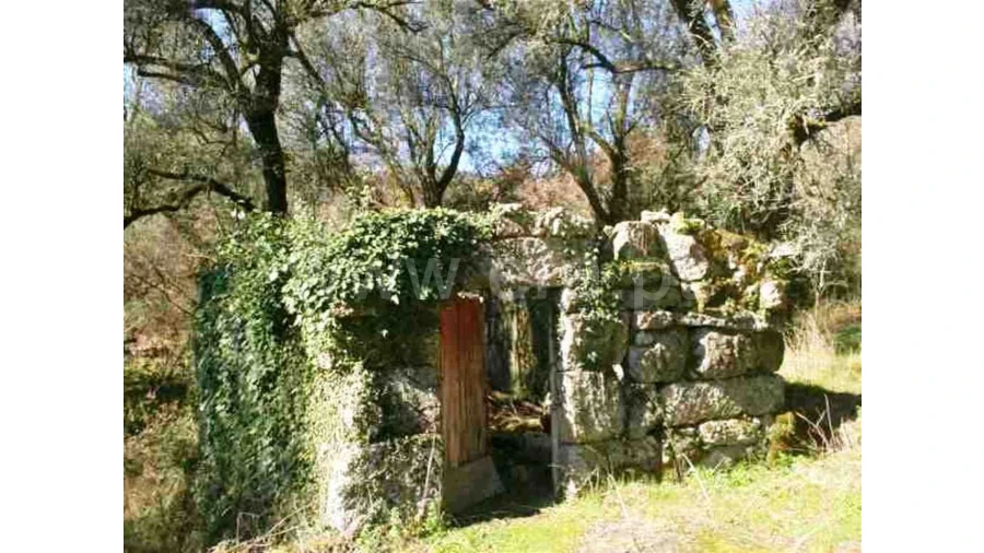 Quinta para Venda em Serzedelo Foto 12