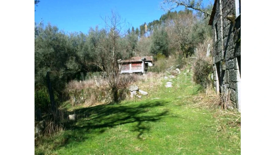 Quinta para Venda em Serzedelo Foto 11