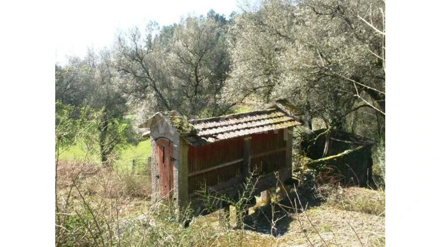 Quinta para Venda em Serzedelo Foto 13