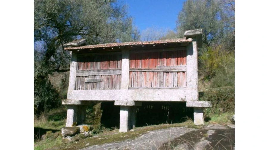 Quinta para Venda em Serzedelo Foto 15