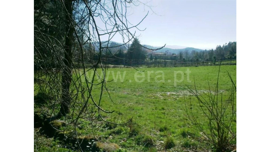 Quinta para Venda em Serzedelo Foto 21
