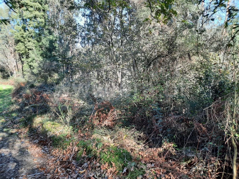 Terreno para Venda em Fontarcada Foto 2