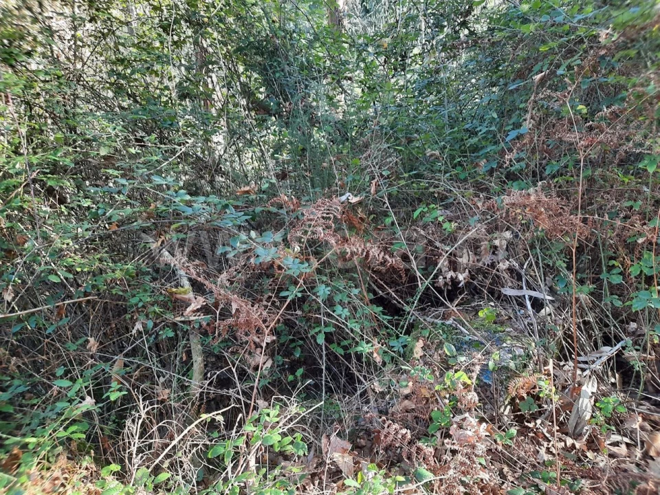 Terreno para Venda em Fontarcada Foto 5