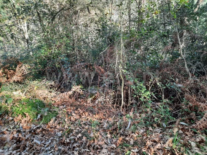 Terreno para Venda em Fontarcada Foto 3