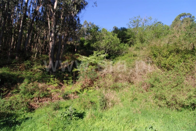 Terreno para Venda em Fontarcada Foto 8