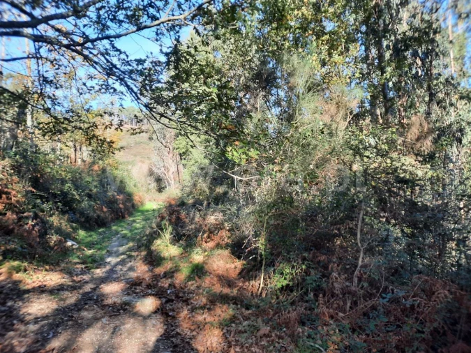 Terreno para Venda em Fontarcada Foto 9