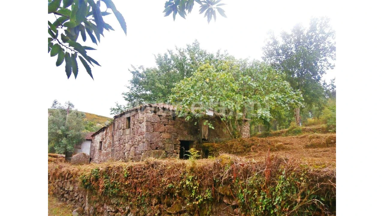 Quinta para Venda em Friande Foto 1