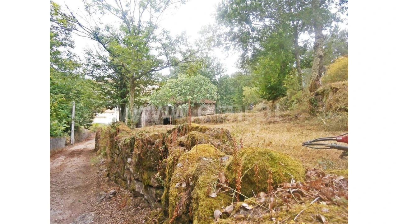 Quinta para Venda em Friande Foto 4