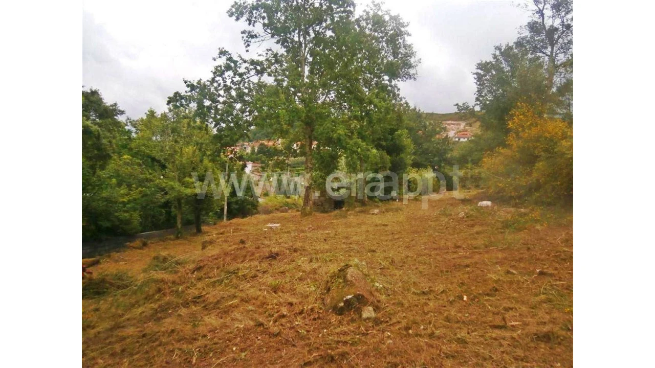 Quinta para Venda em Friande Foto 10