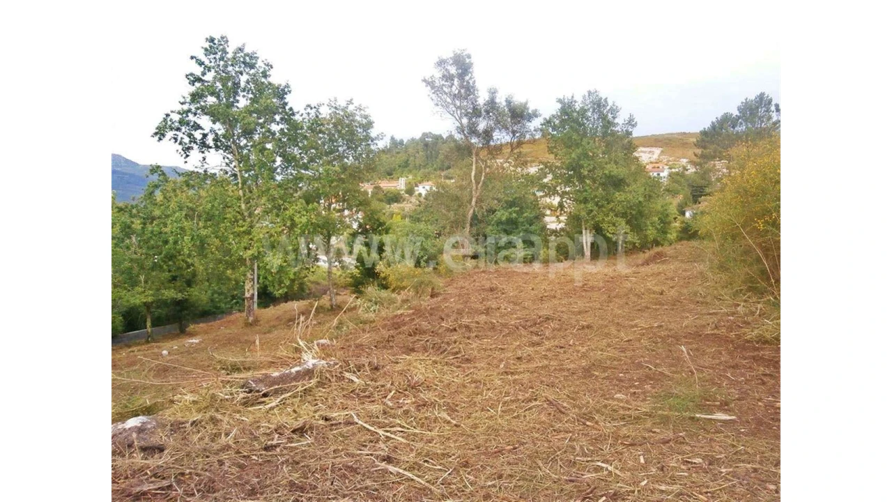 Quinta para Venda em Friande Foto 11