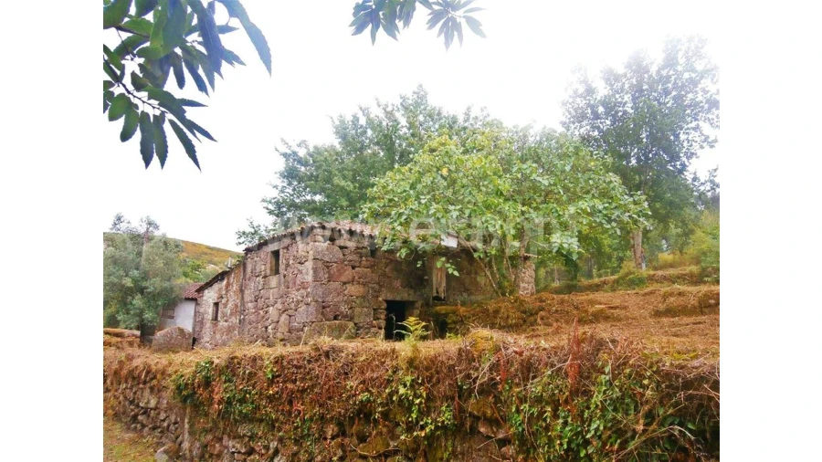 Quinta para Venda em Friande
