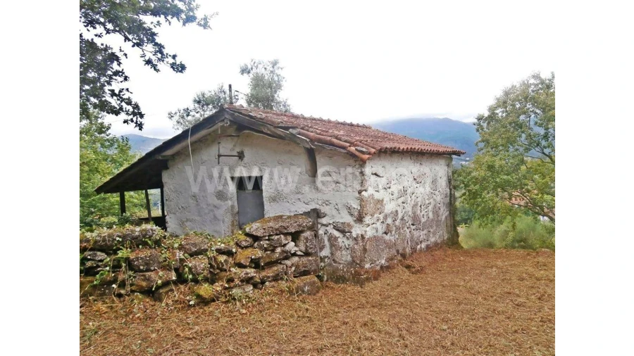 Quinta para Venda em Friande Foto 5