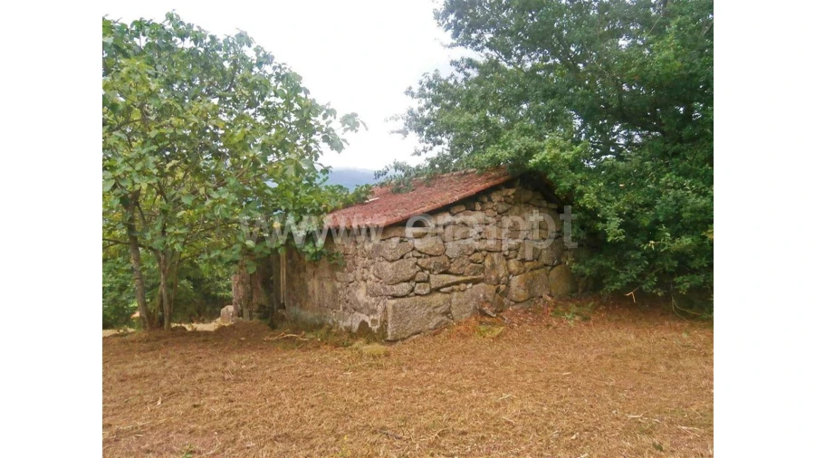 Quinta para Venda em Friande Foto 6