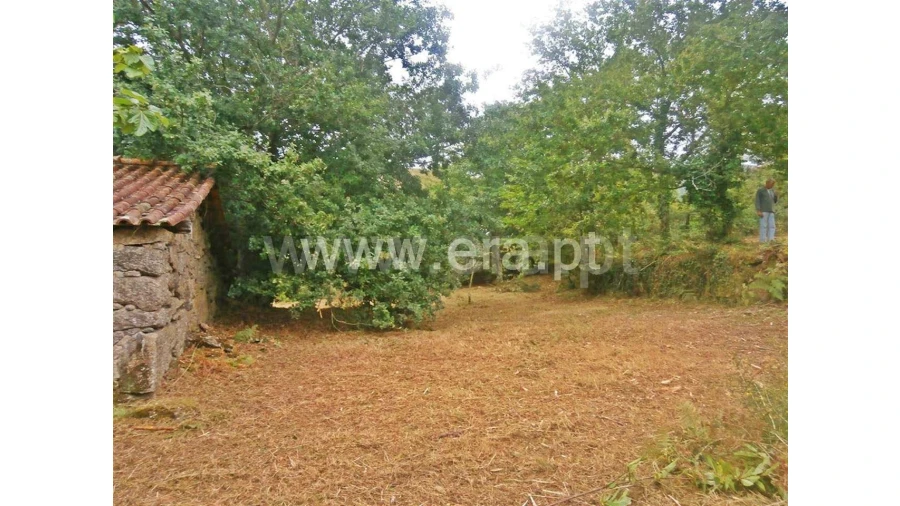 Quinta para Venda em Friande Foto 7