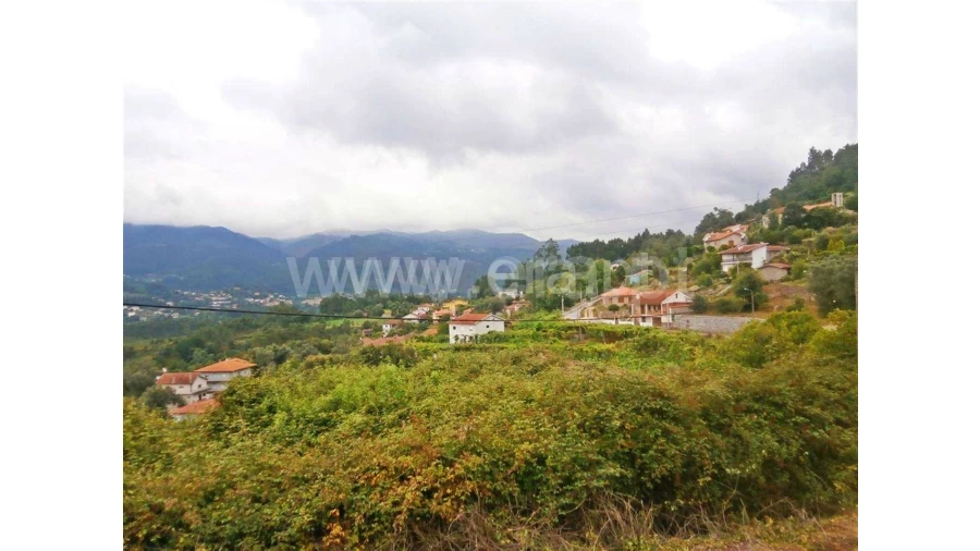 Quinta para Venda em Friande Foto 12