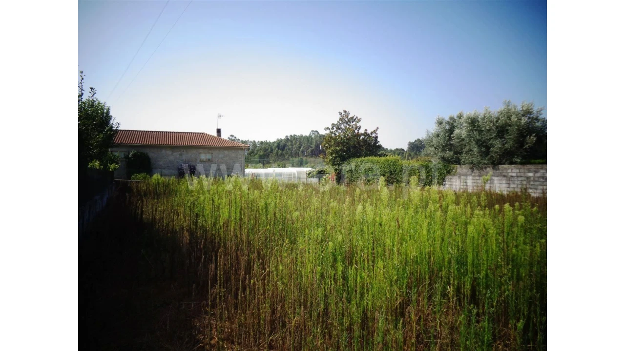 Terreno para Venda em Fontarcada Foto 6