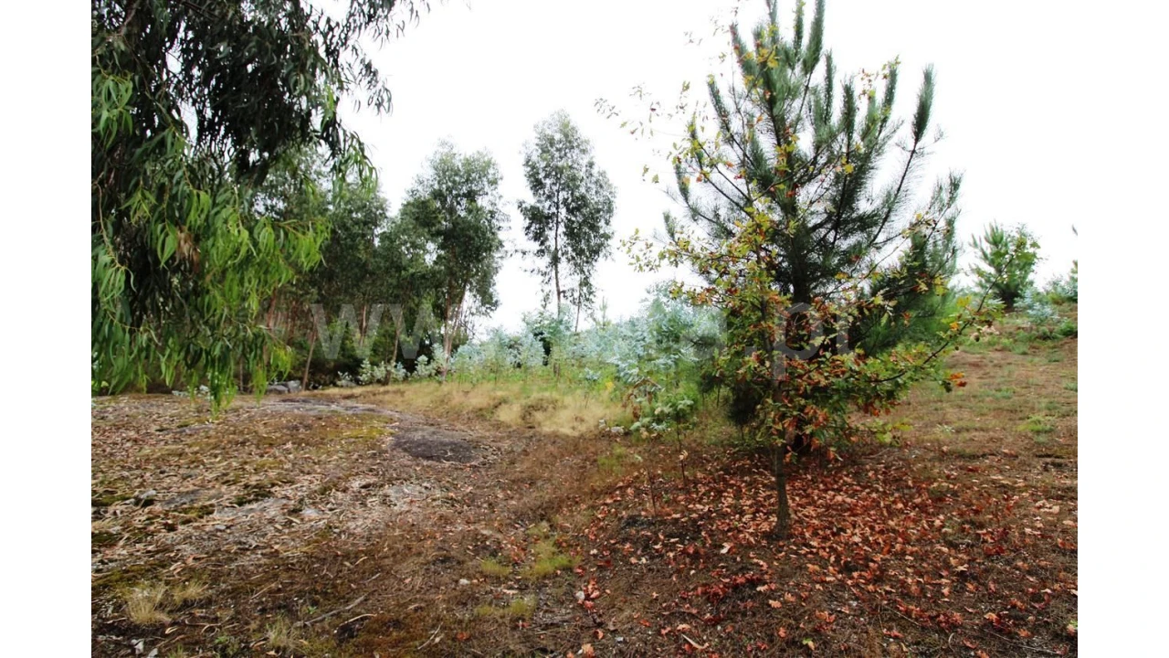 Moradia T5 para Venda em Taíde Foto 25