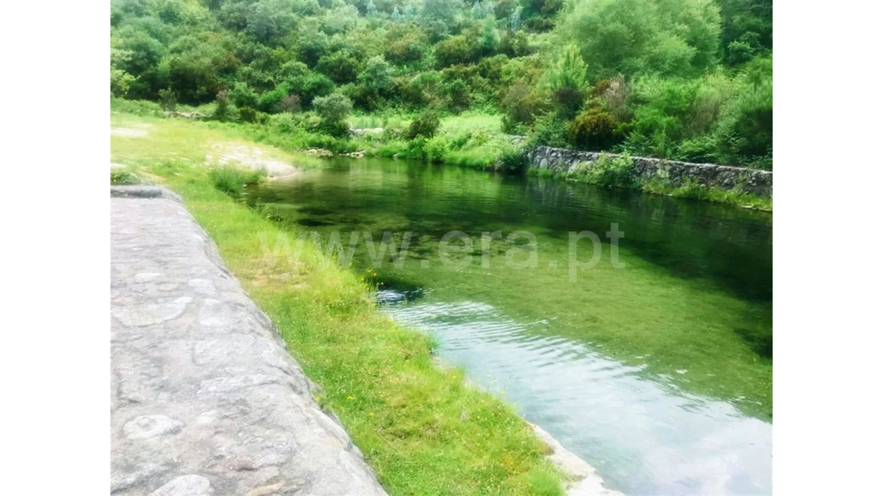 Negócio para Venda em Rua Renda, Campos Foto 31