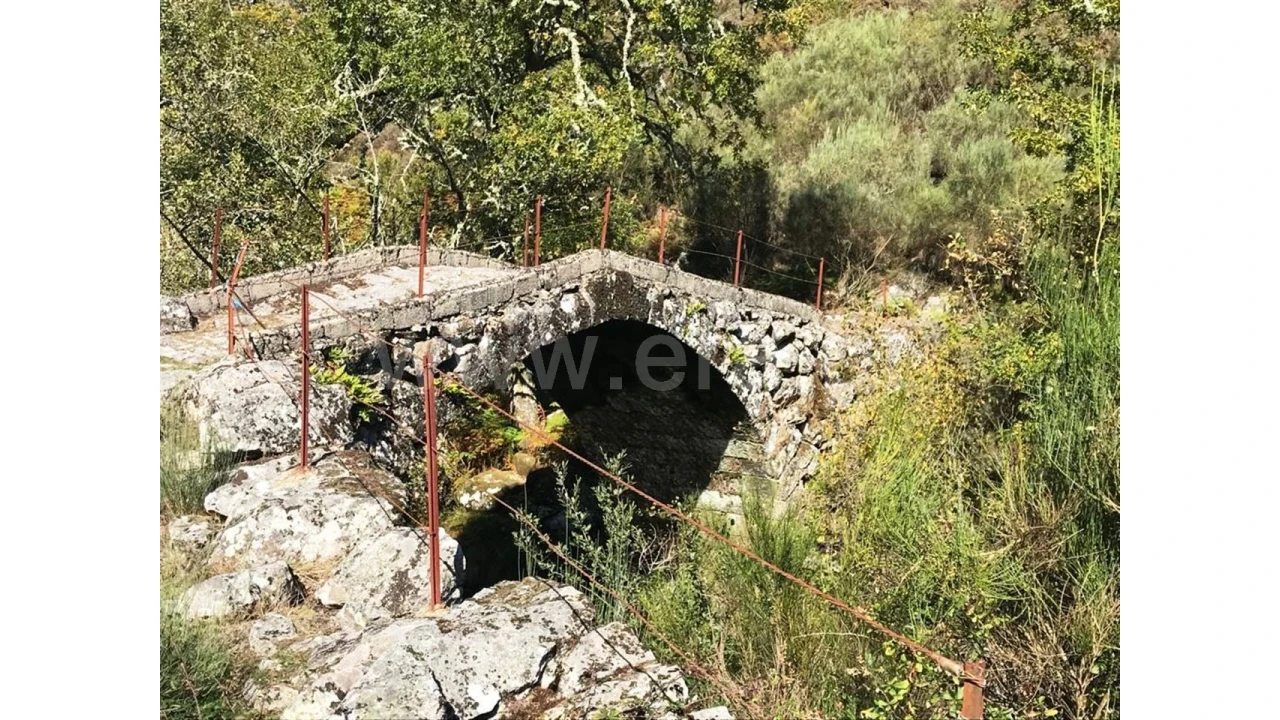 Negócio para Venda em Rua Renda, Campos Foto 35