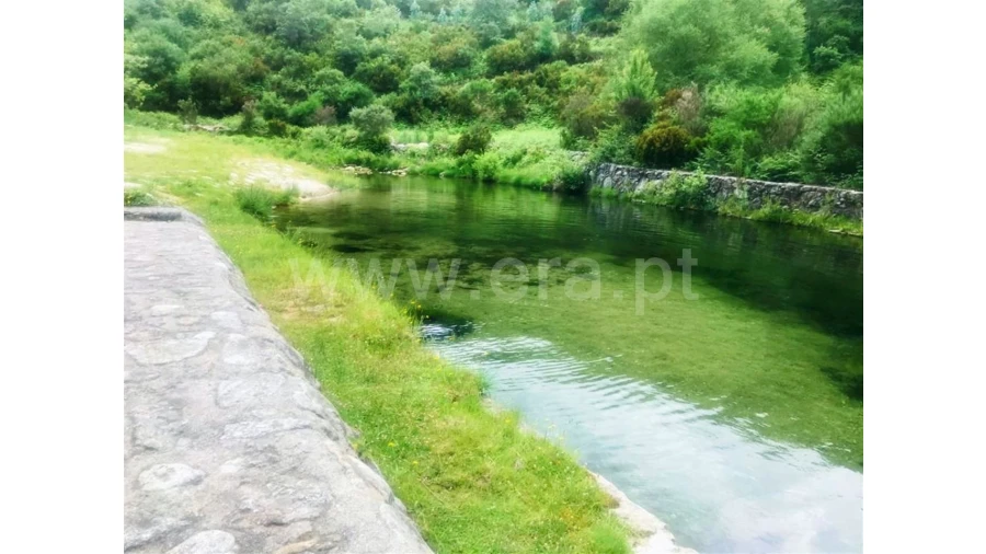 Negócio para Venda em Rua Renda, Campos Foto 31
