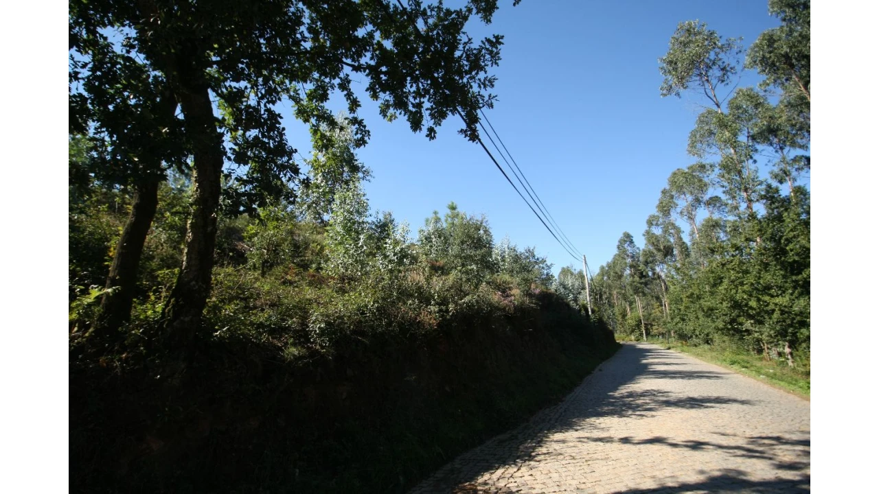 Terreno para Venda em Sobrado Foto 3