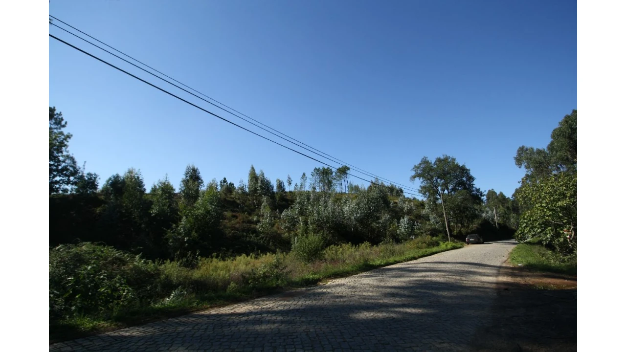 Terreno para Venda em Sobrado Foto 9