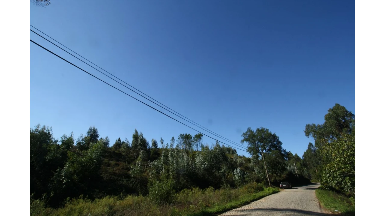 Terreno para Venda em Sobrado Foto 12