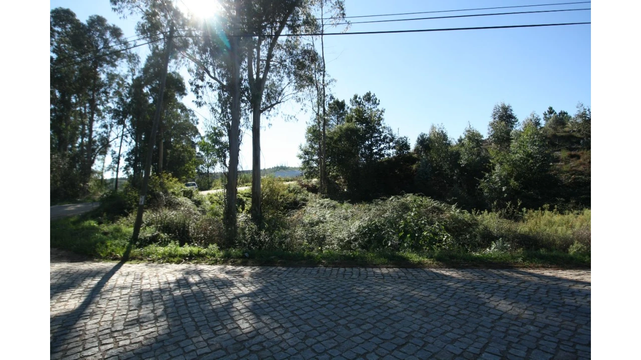 Terreno para Venda em Sobrado Foto 4